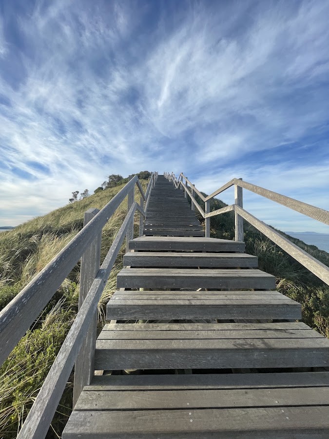 Truganini Lookout