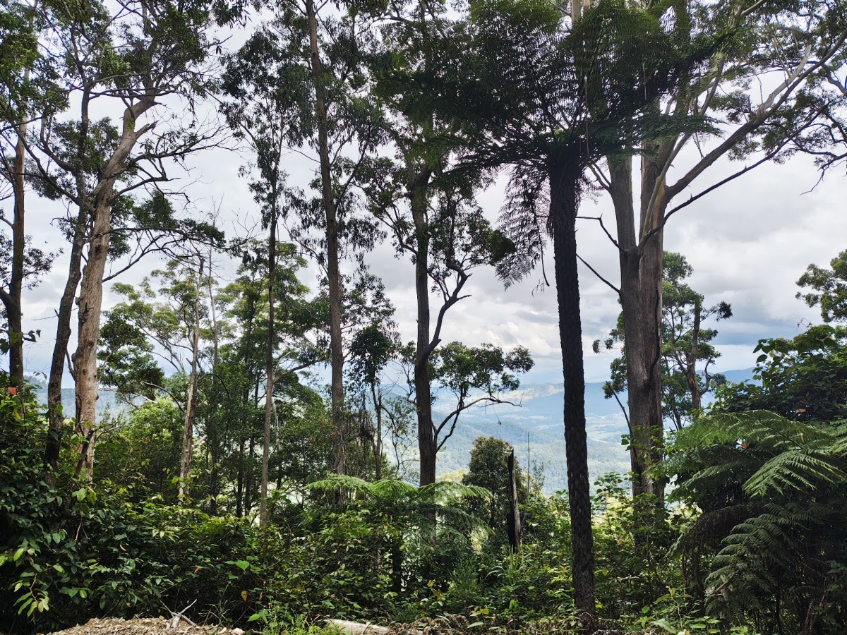 Dunggir National Park