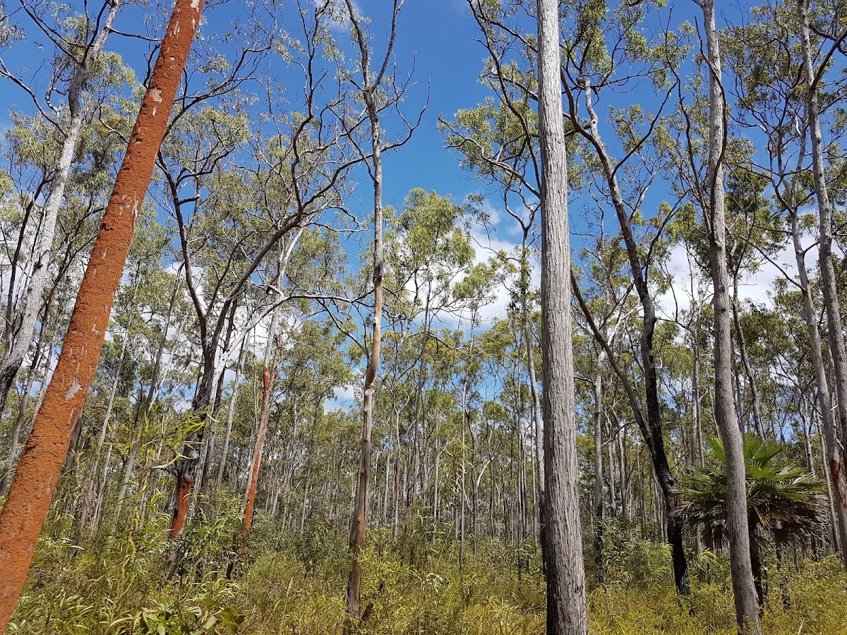 Apudthama National Park Aboriginal