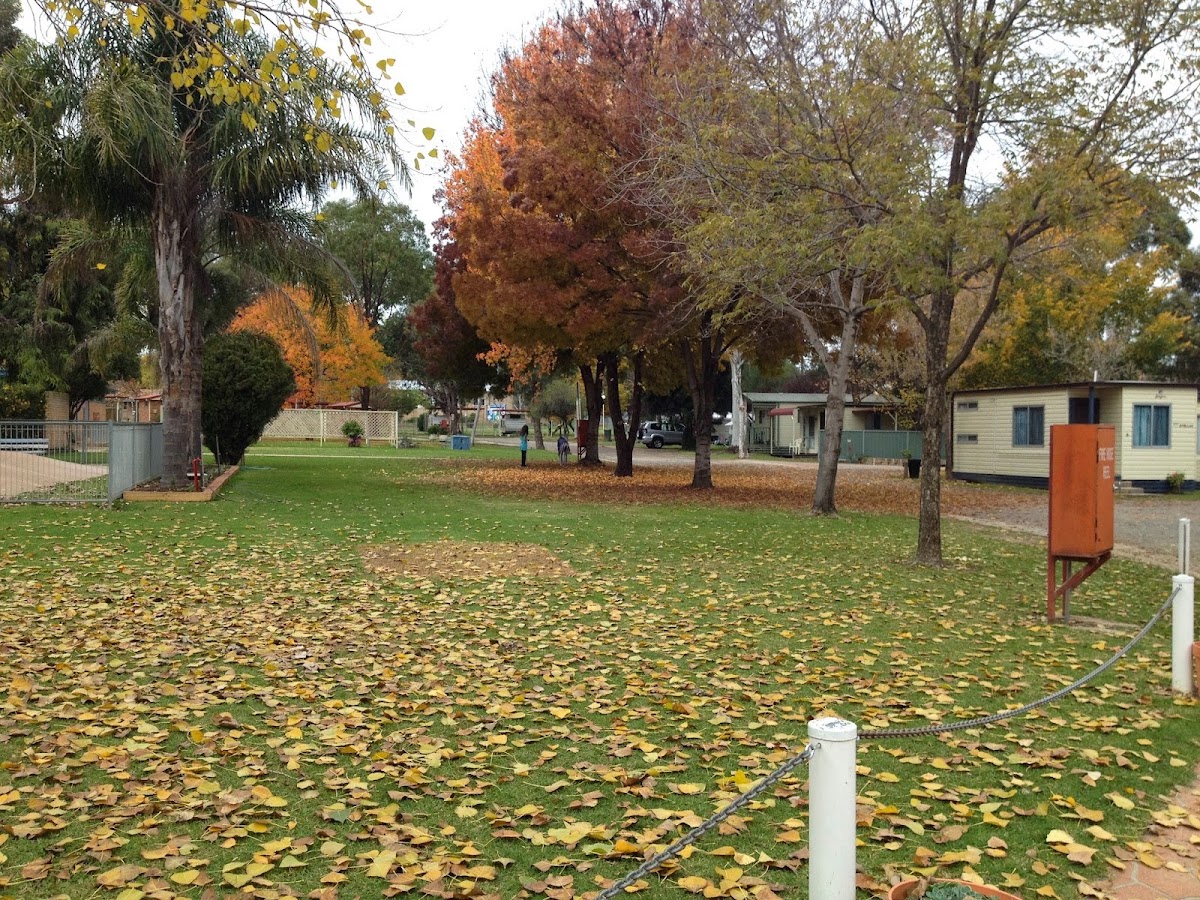 Young Caravan Park