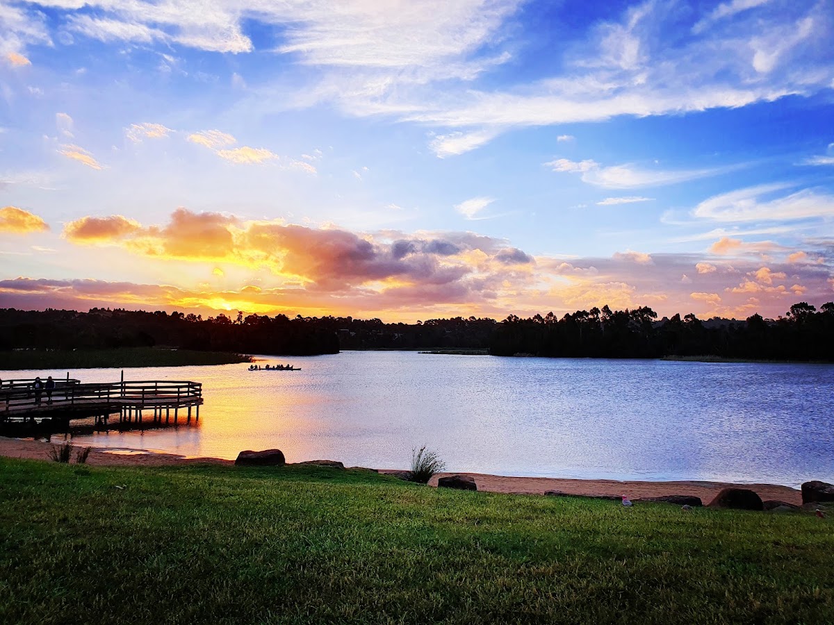 Lillydale Lake Lookout