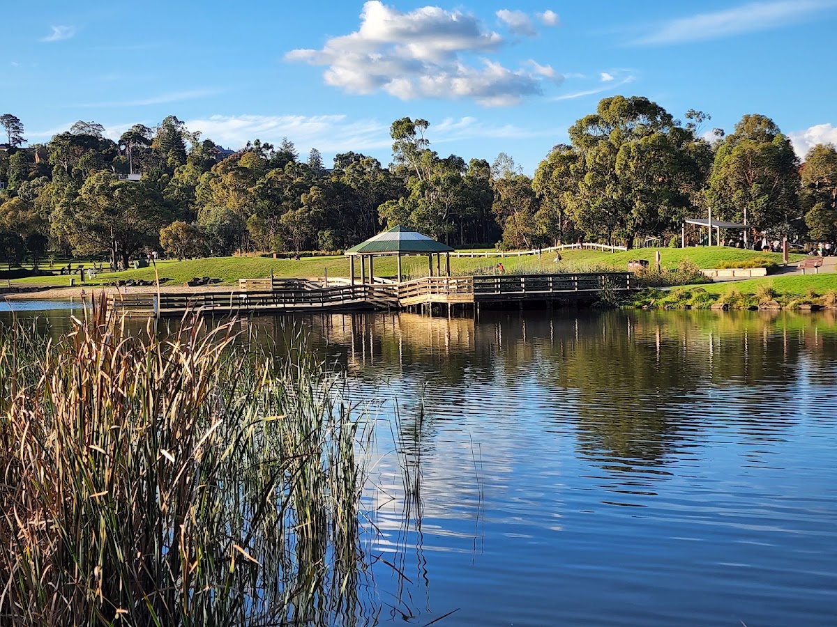 Lillydale Lake Lookout