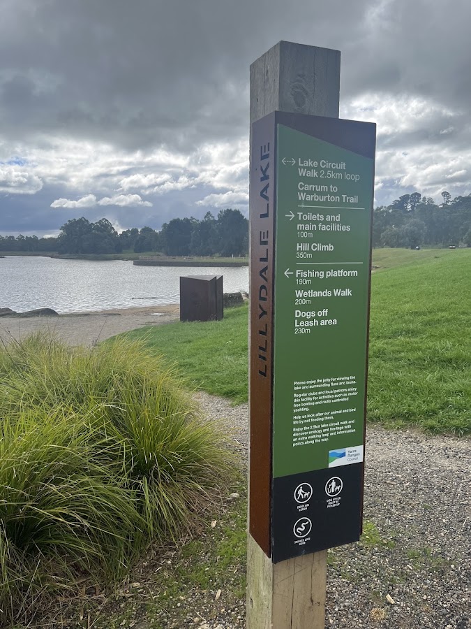 Lillydale Lake Lookout
