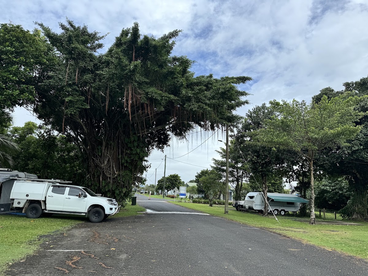 Kurrimine Beach Campground