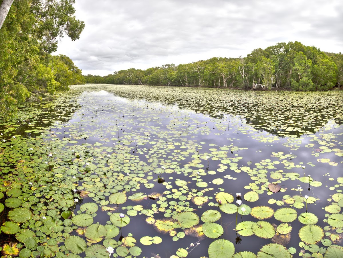 Keatings Lagoon Conservation Park