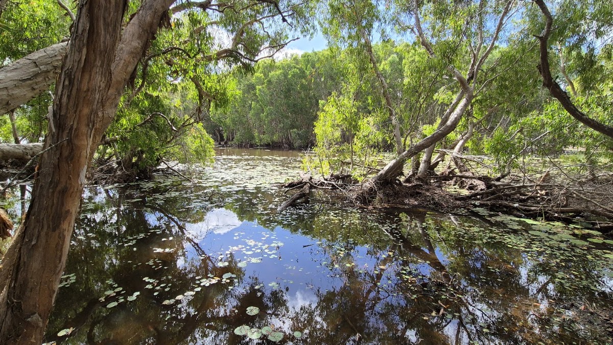 Keatings Lagoon Conservation Park