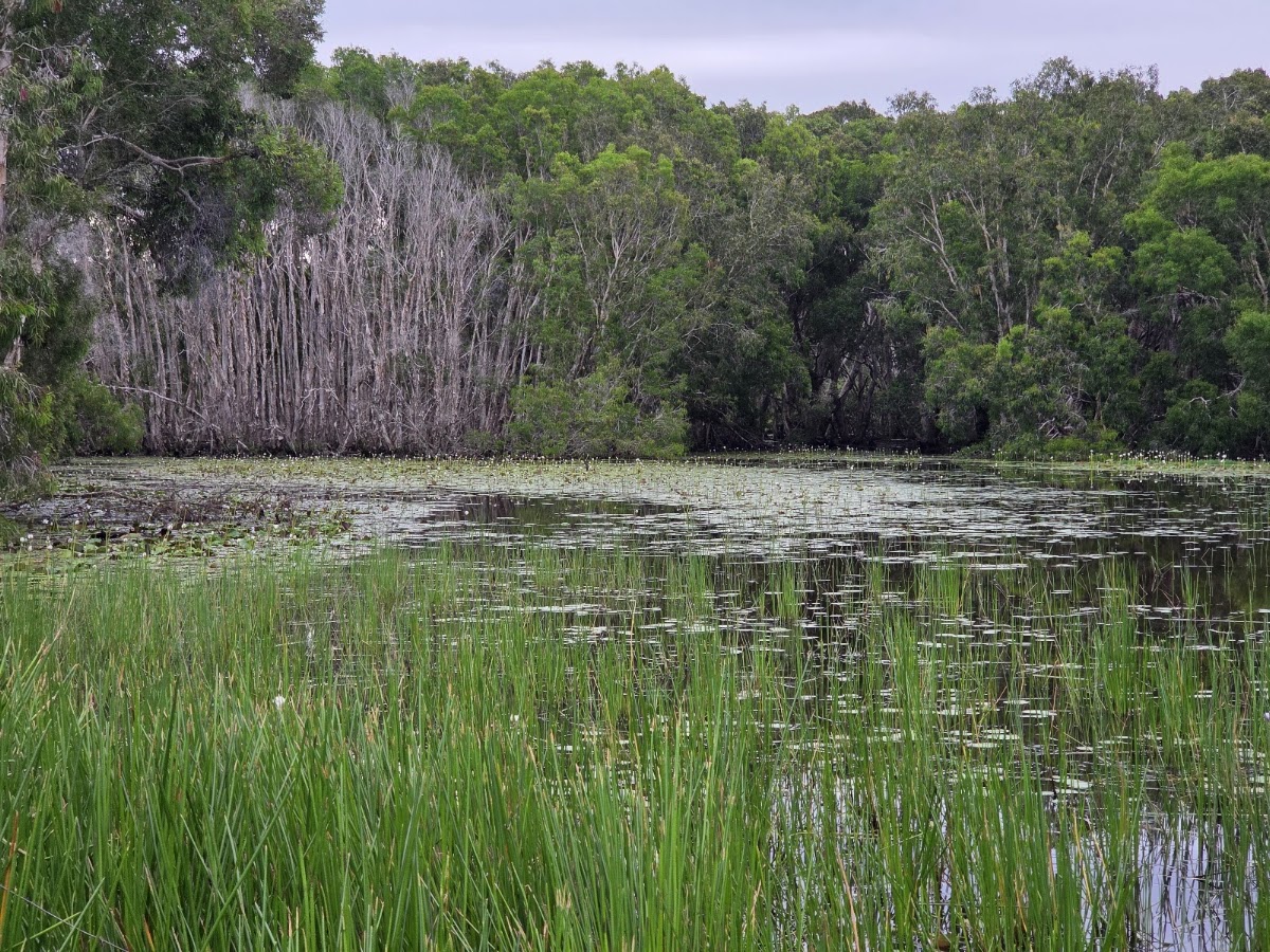 Keatings Lagoon Conservation Park