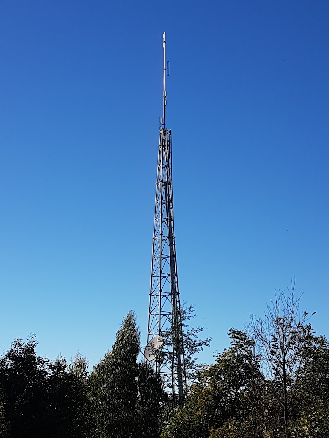 Beenak State Forest