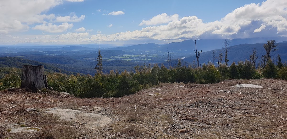 Beenak State Forest