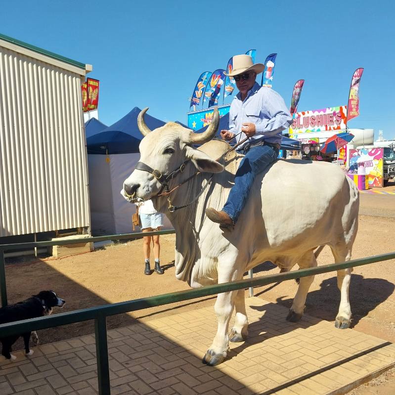 Longreach Showgrounds