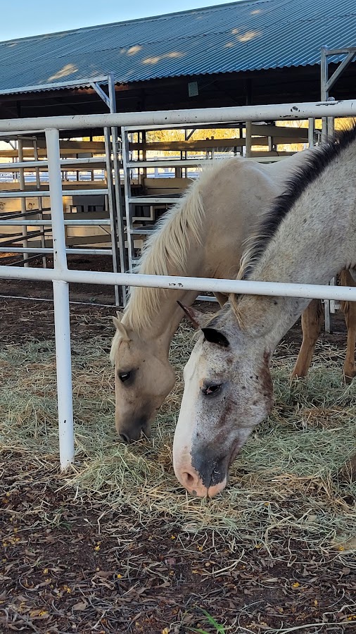 Longreach Showgrounds