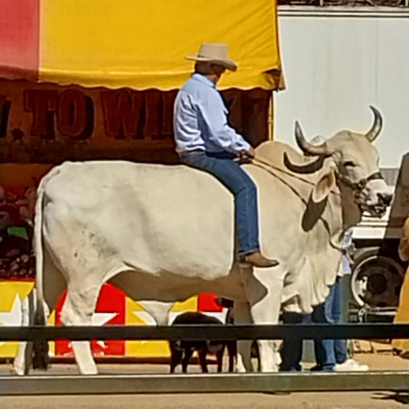 Longreach Showgrounds