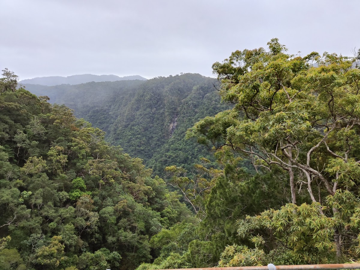 Jumrum Creek Conservation Park