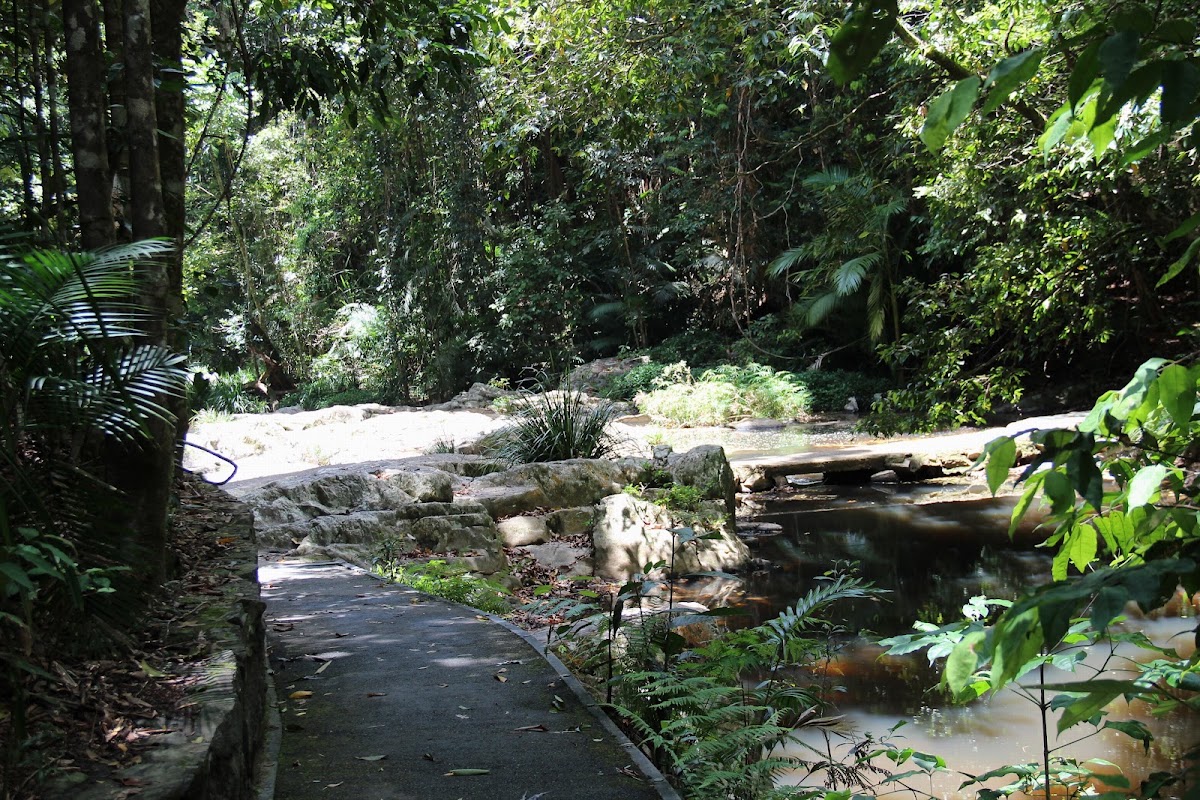 Jumrum Creek Conservation Park