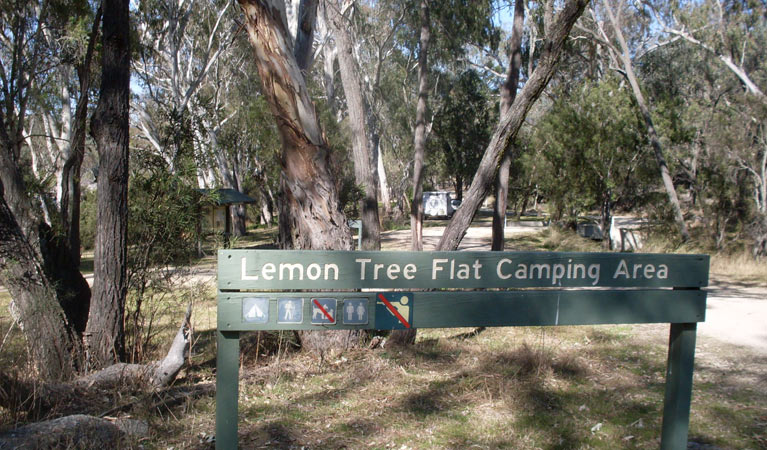 Lemon Tree Flat Campground
