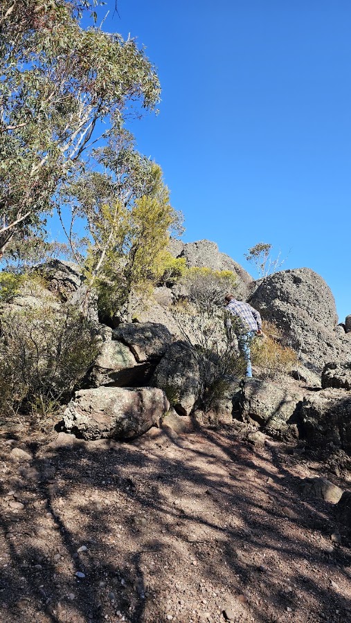 McMillans Lookout