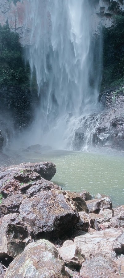 Canungra Conservation Park