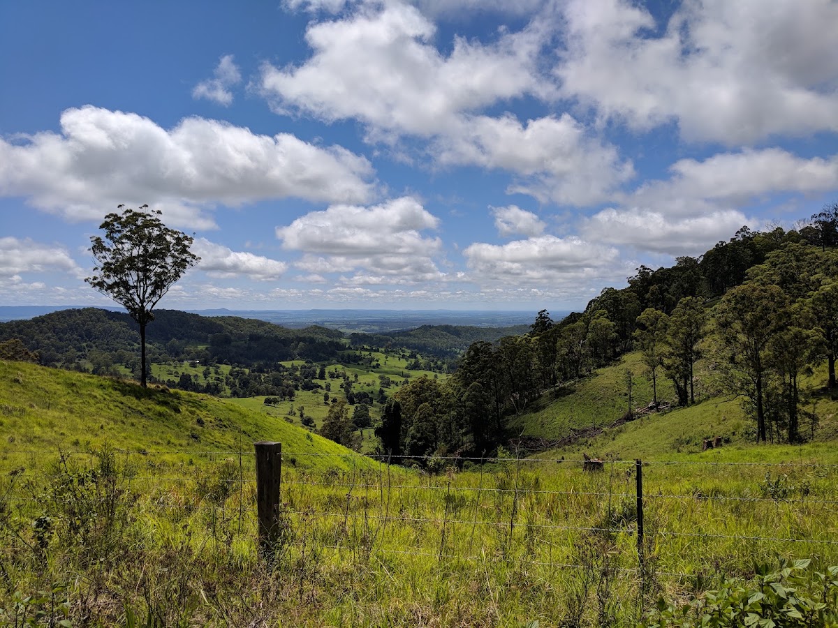 Richmond Range National Park