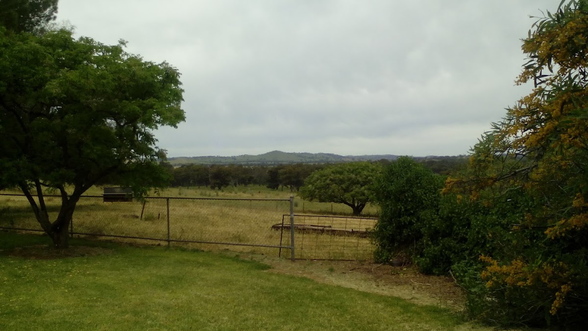 Jindalee National Park