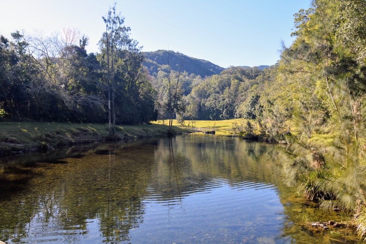 Bellinger River National Park