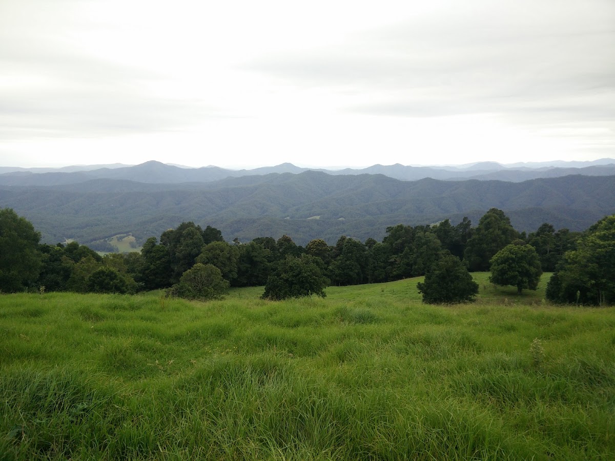 Bellinger River National Park