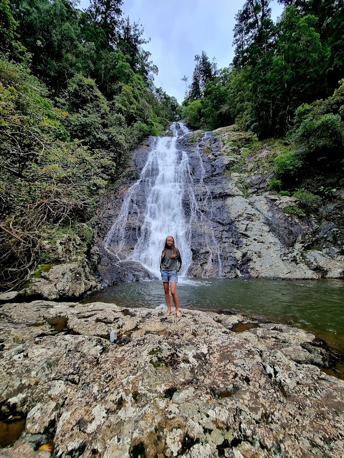 Bellinger River National Park