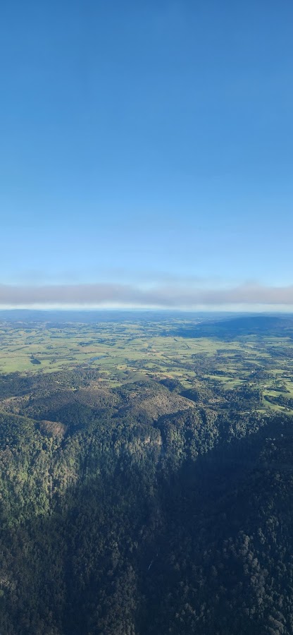 Bellinger River National Park
