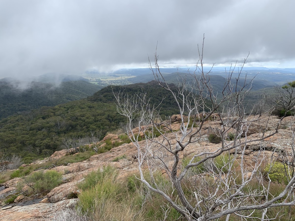 Lindsay Rock Tops Lookout