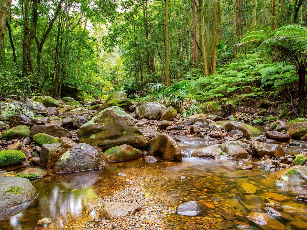 Macquarie Pass National Park