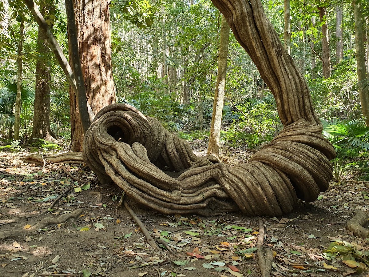 Macquarie Pass National Park