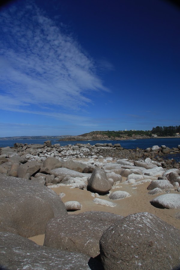 Pullen Island Conservation Park