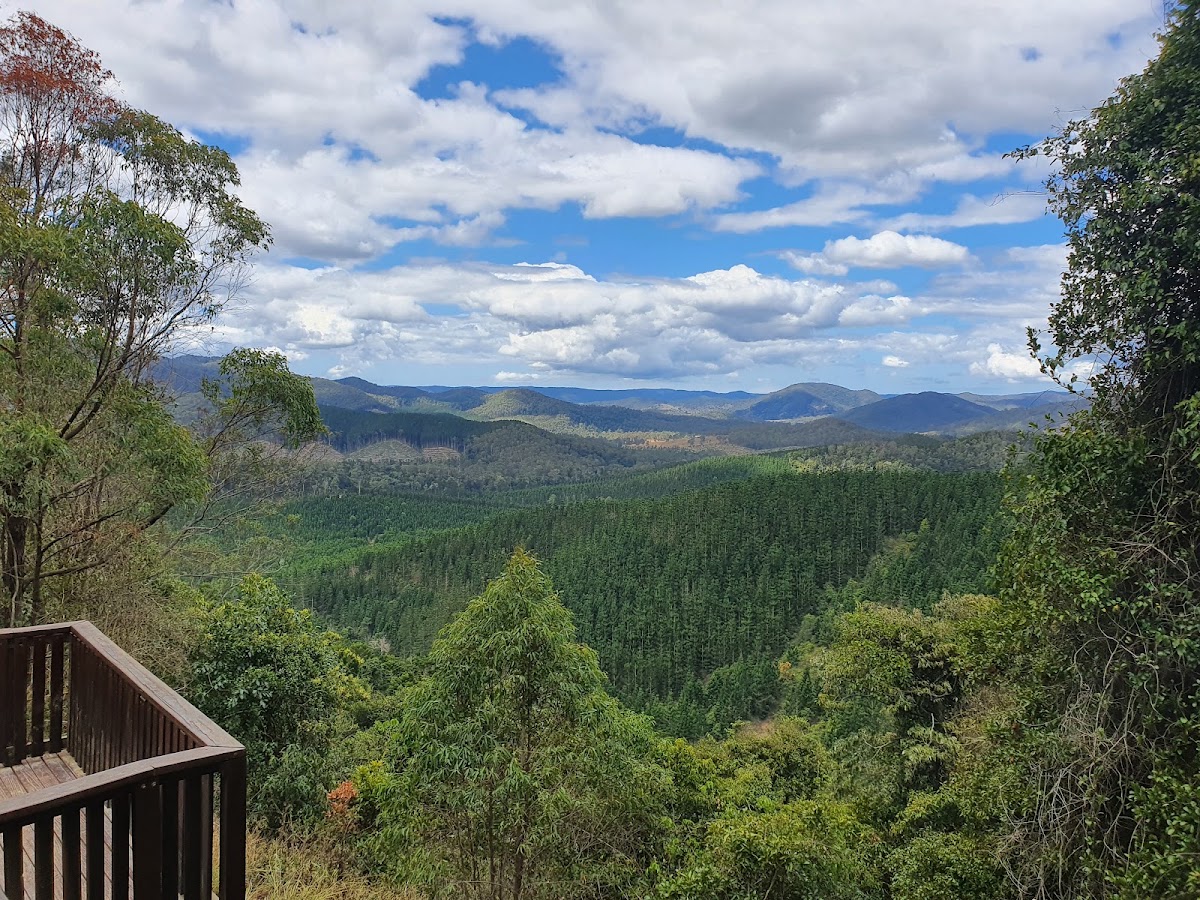 Conondale National Park