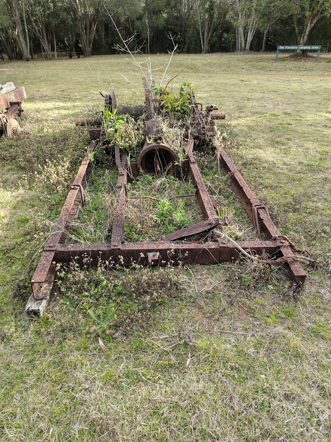 Old Forestry Camping Area