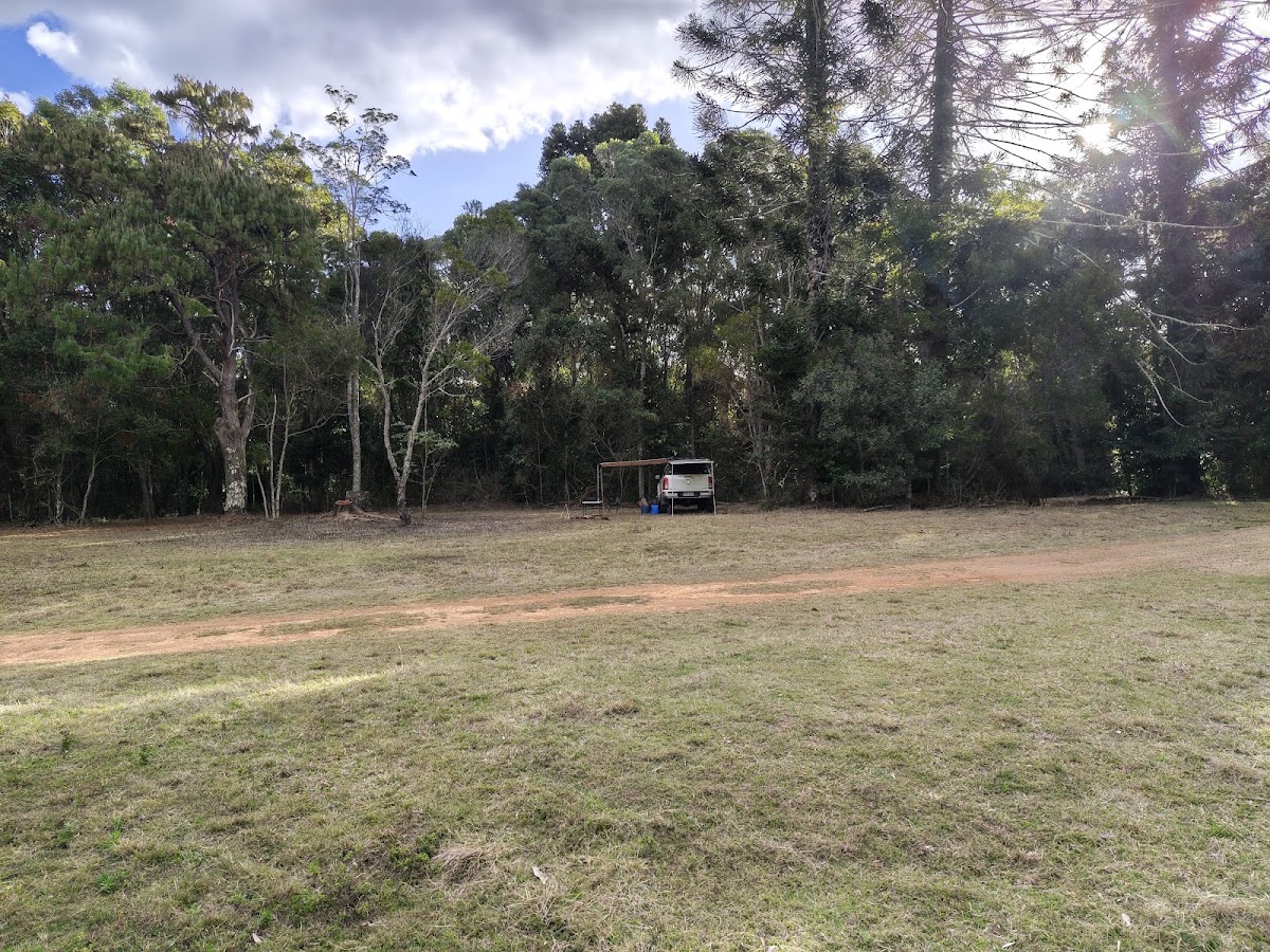 Old Forestry Camping Area