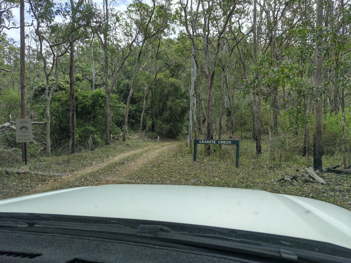 Old Forestry Camping Area