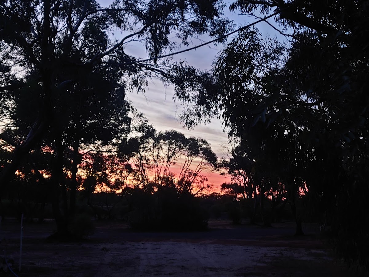 Rainbow Caravan Park