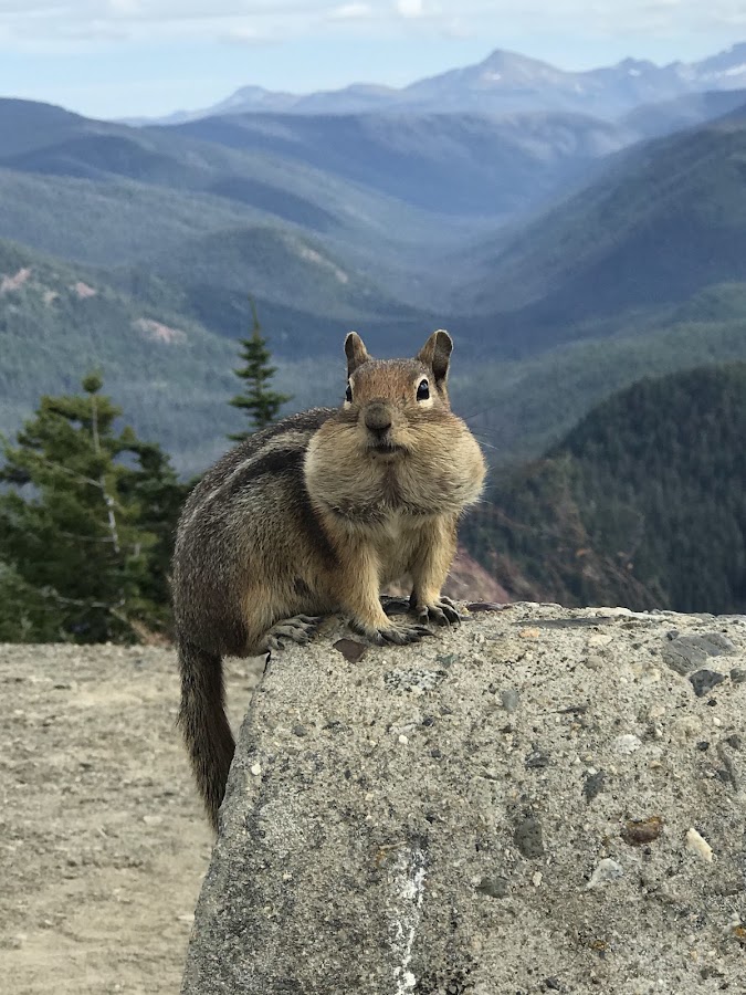 Cascades Lookout