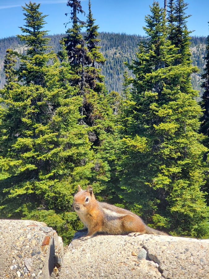 Cascades Lookout