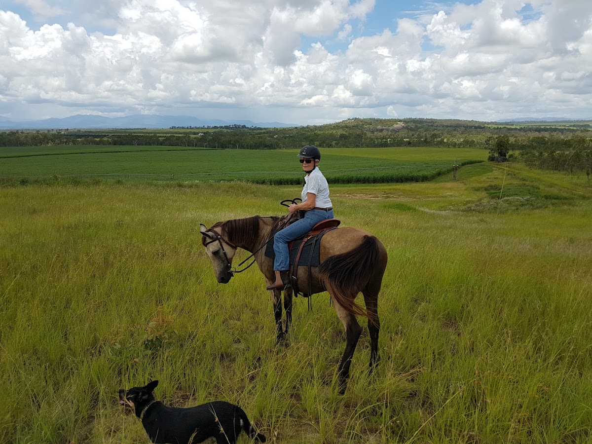 Hann Tableland National Park