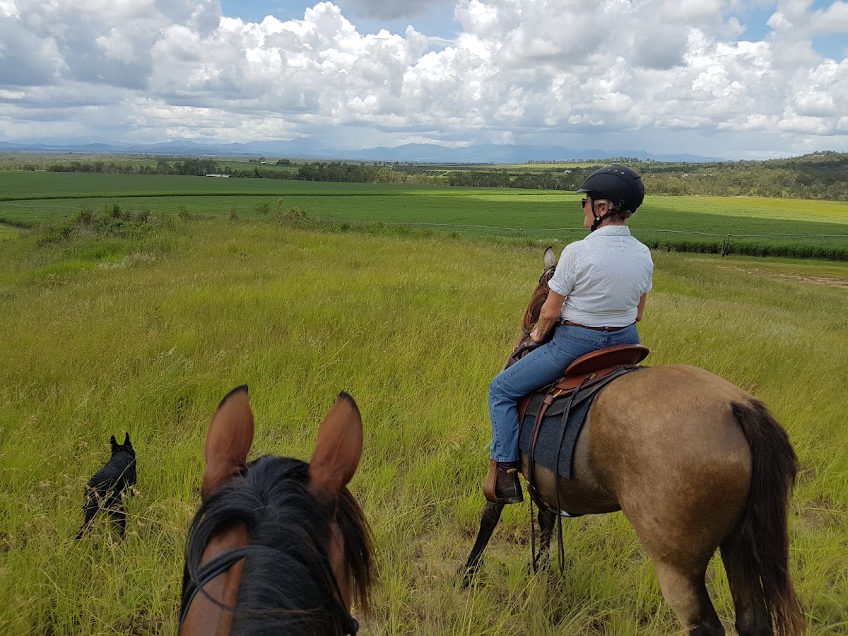 Hann Tableland National Park