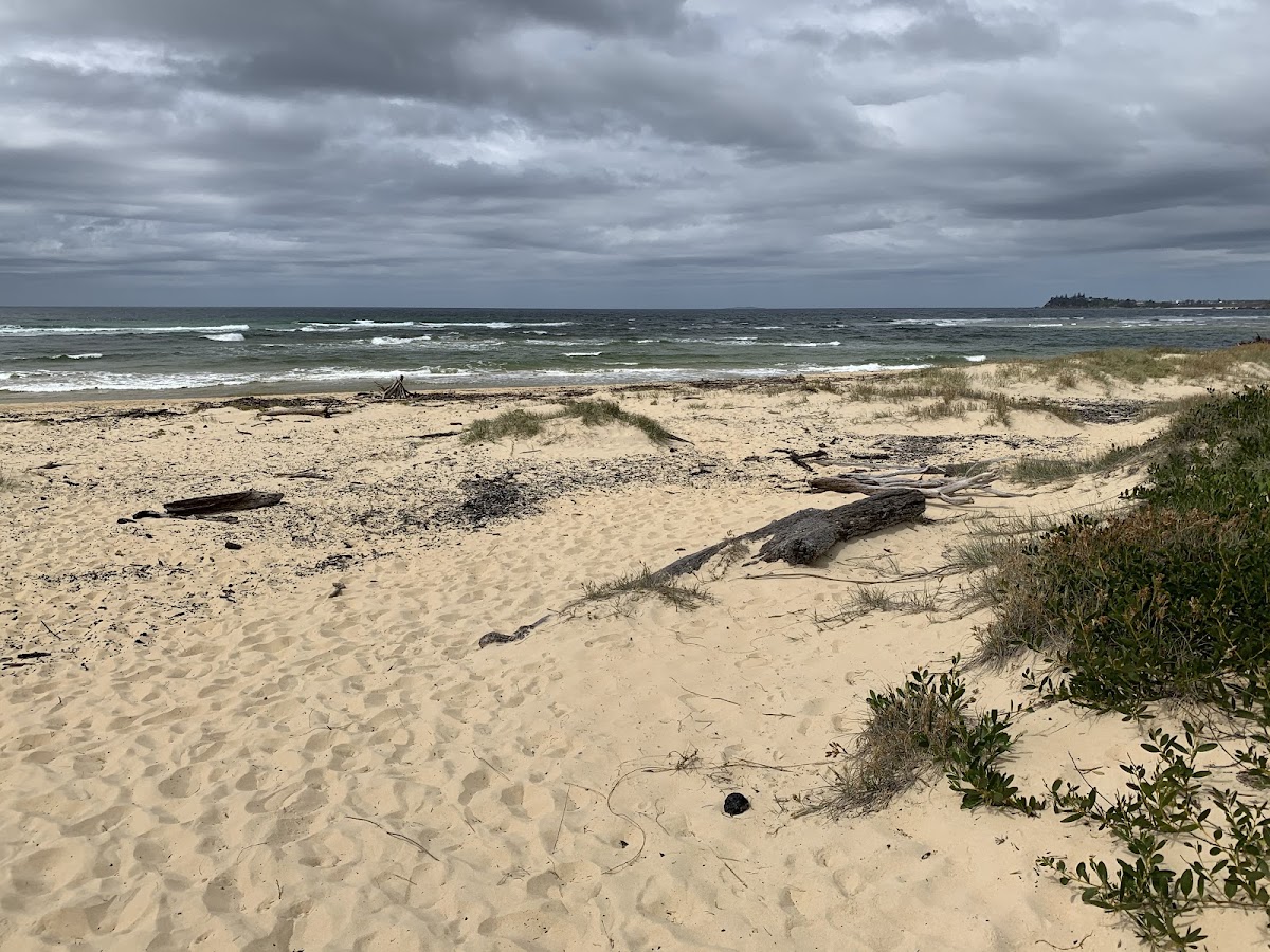 Main Beach