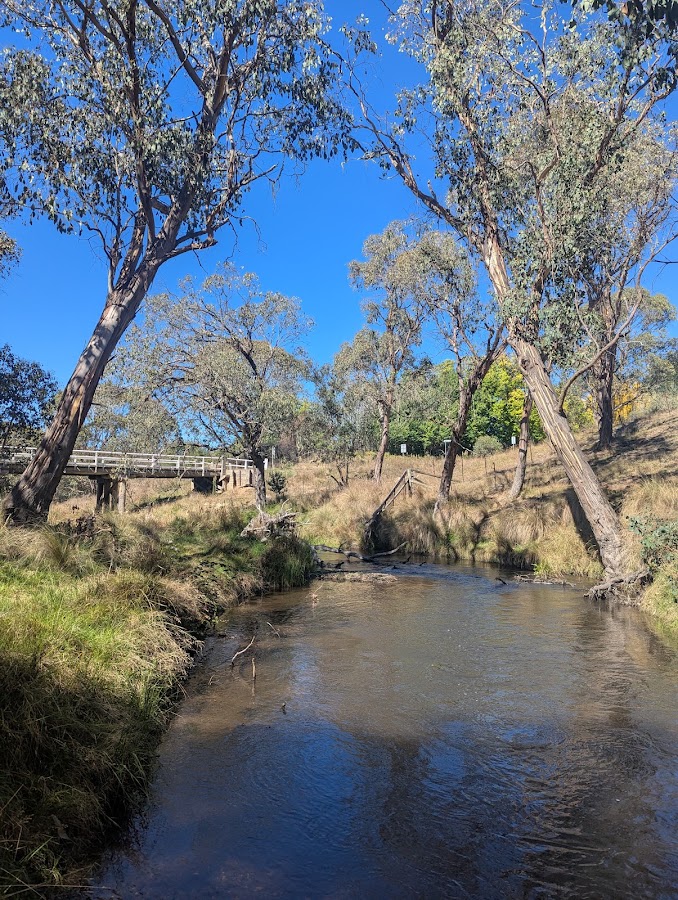 Delegate River Camping and Picnic Area