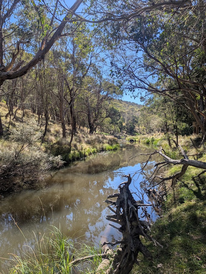 Delegate River Camping and Picnic Area