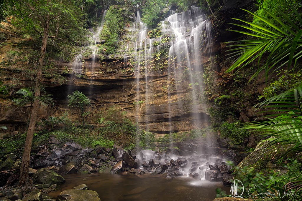 Watagans National Park