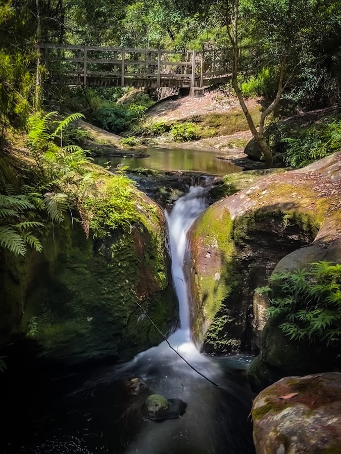 Watagans National Park