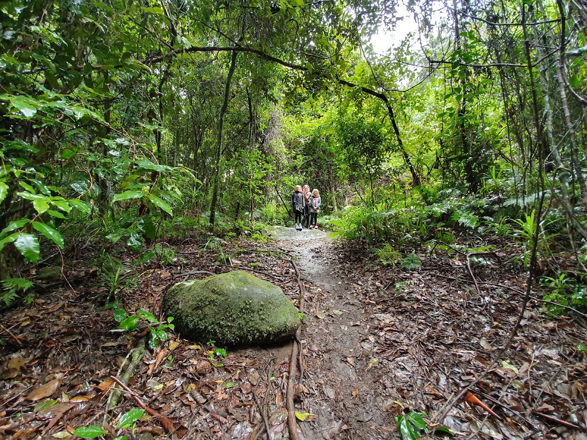 Watagans National Park