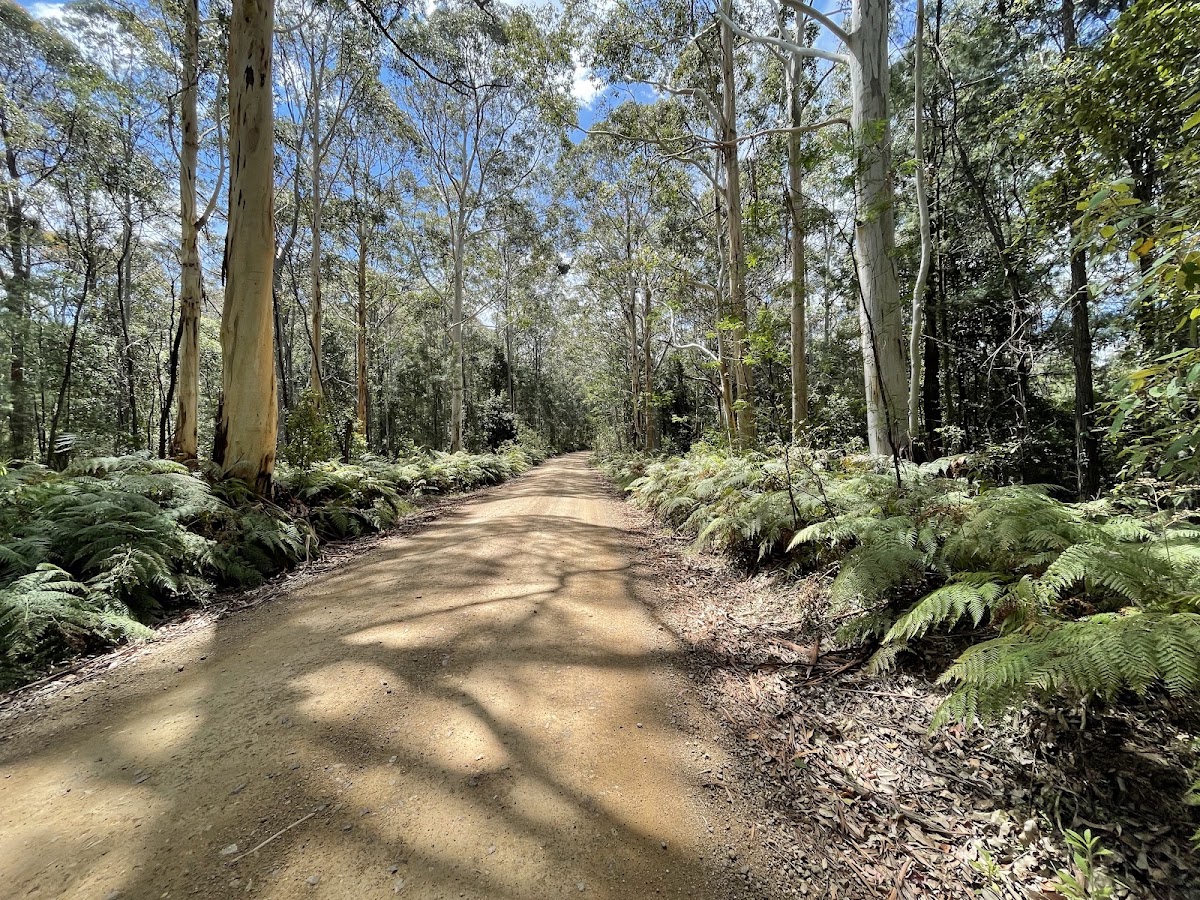 Watagans National Park
