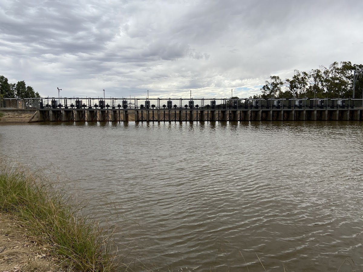 Loddon Floodway