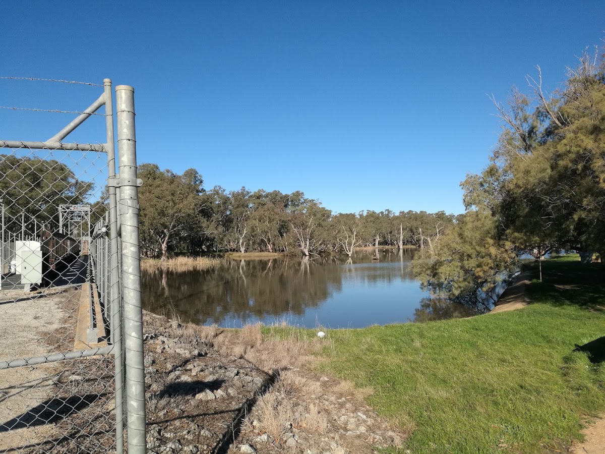 Loddon Floodway