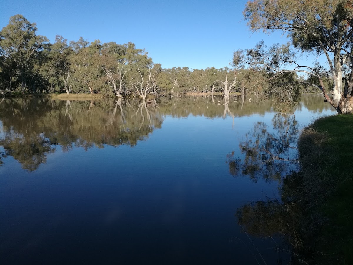 Loddon Floodway